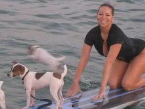 娱乐吃瓜君狗狗,揭秘娱乐圈宠物的趣味生活